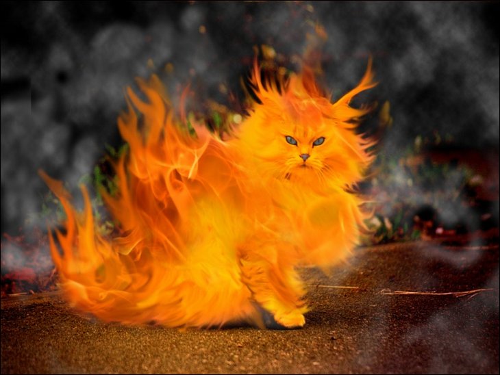 Fire and Photoshop