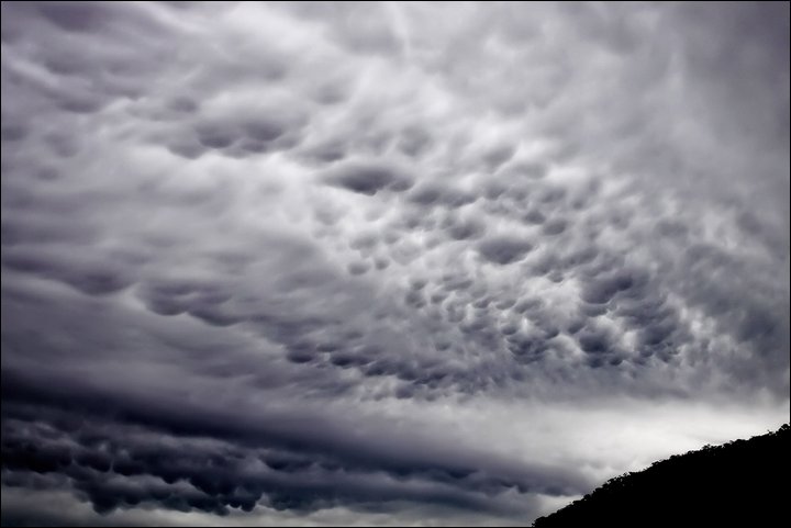 Mammatus Clouds