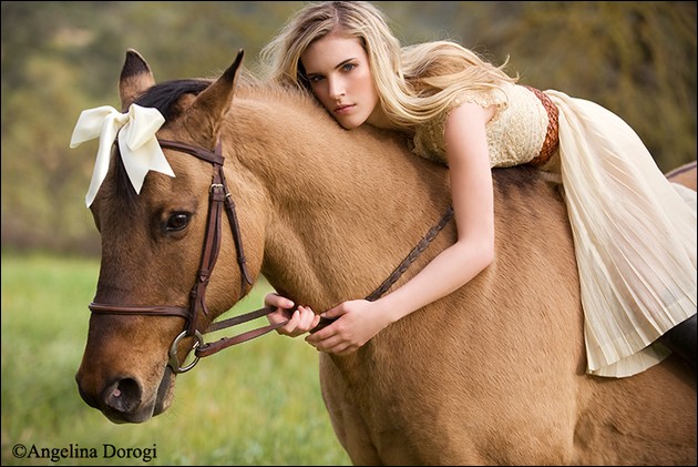 Beauty and the horse