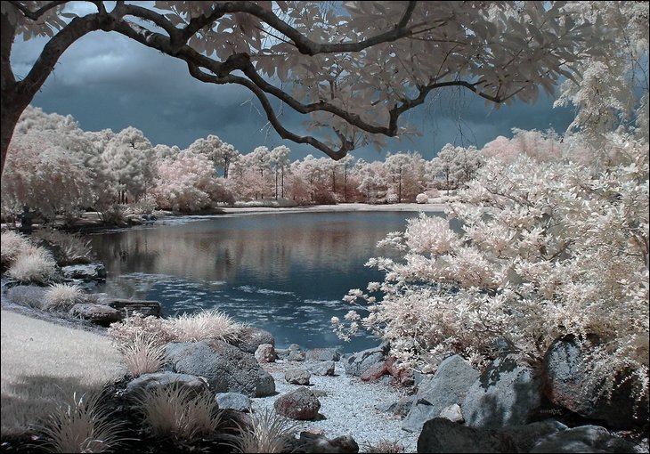 Infrared Photos