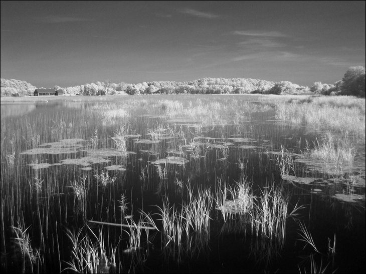 infrared photography with takumar lenses.