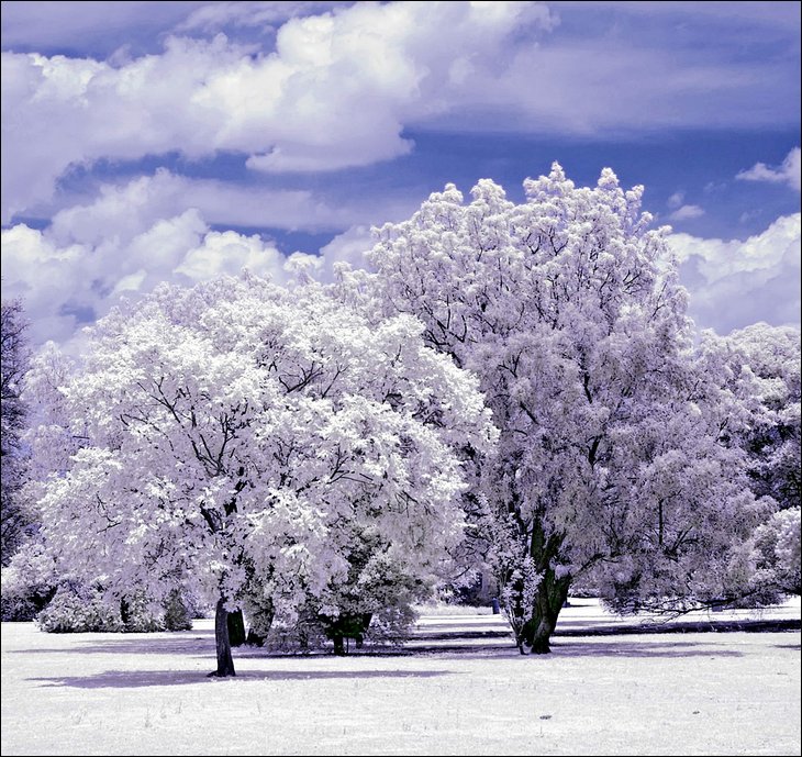 Infrared Photos