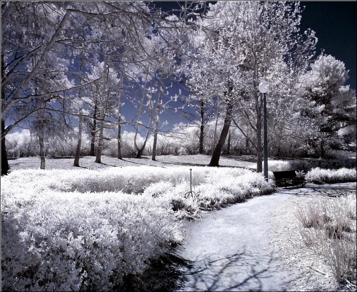 Infrared Photos