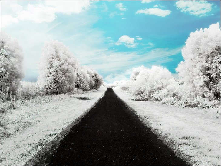 Infrared Photos