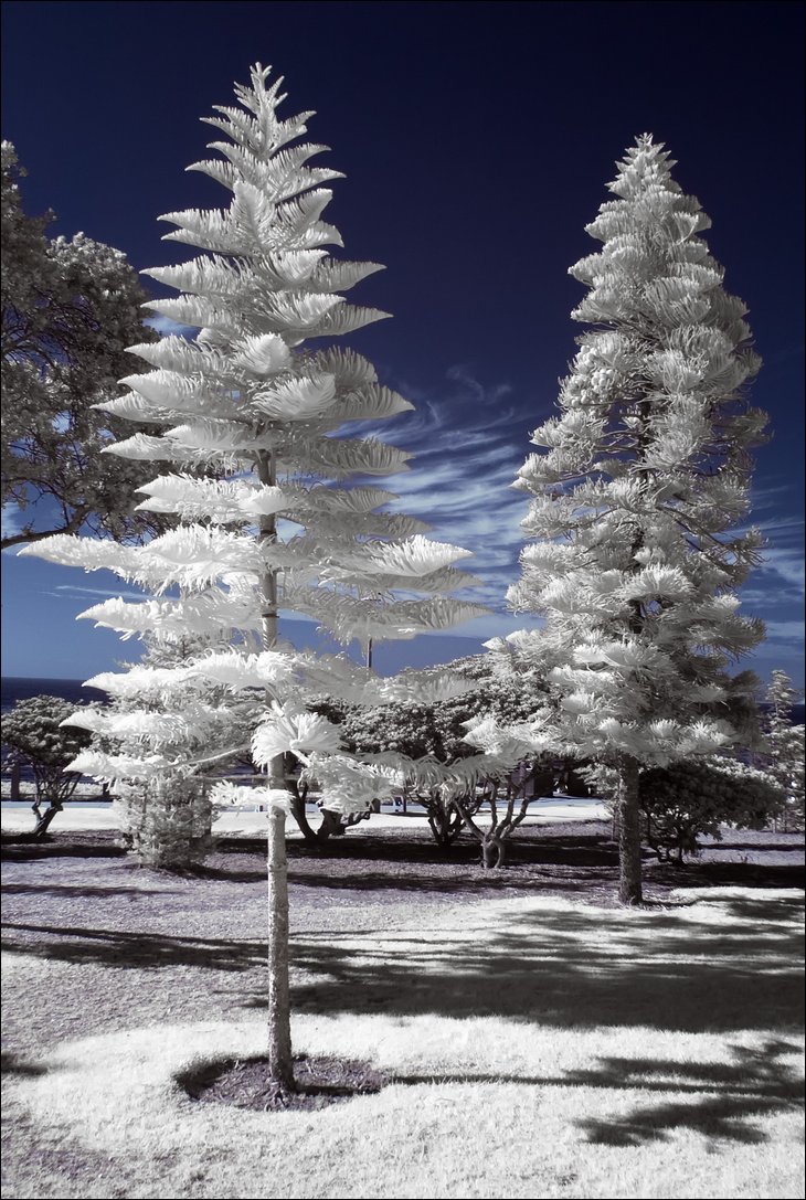 Infrared Photos