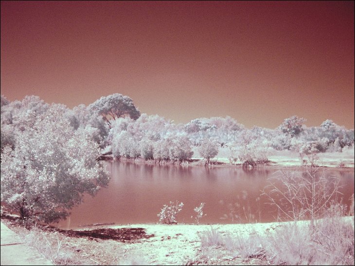 develop infrared raw photos