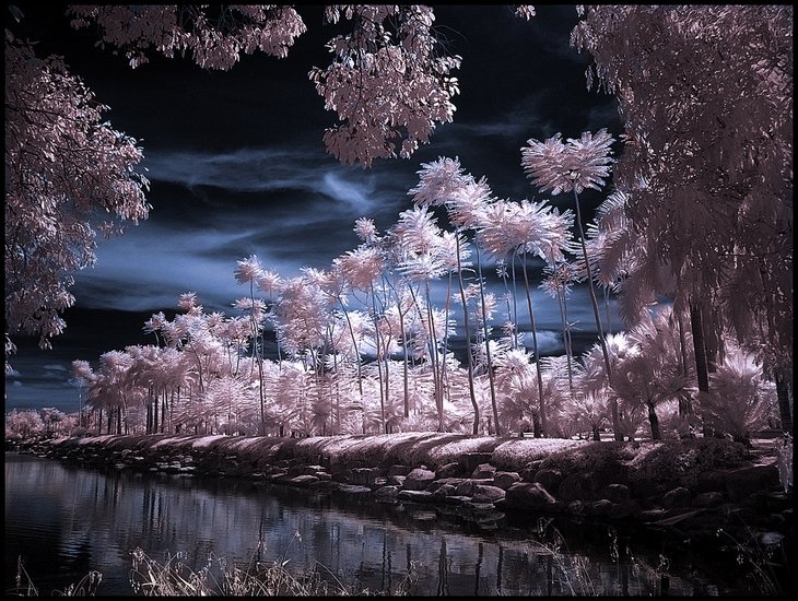 Infrared Photos