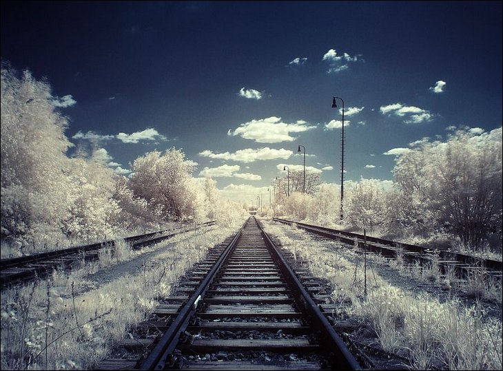 Infrared Photos