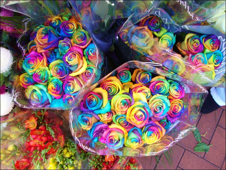 http://funguerilla.com/images/creative-art/rainbow-roses/rainbow-roses07.jpg