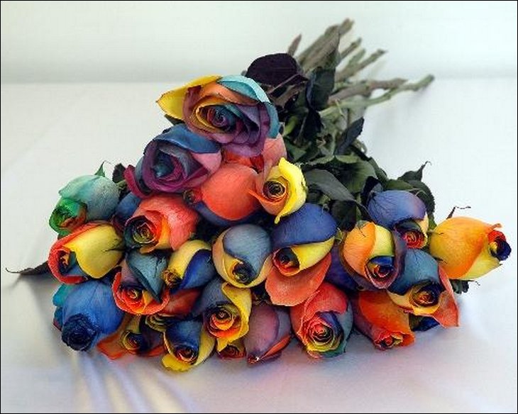 Rainbow Roses