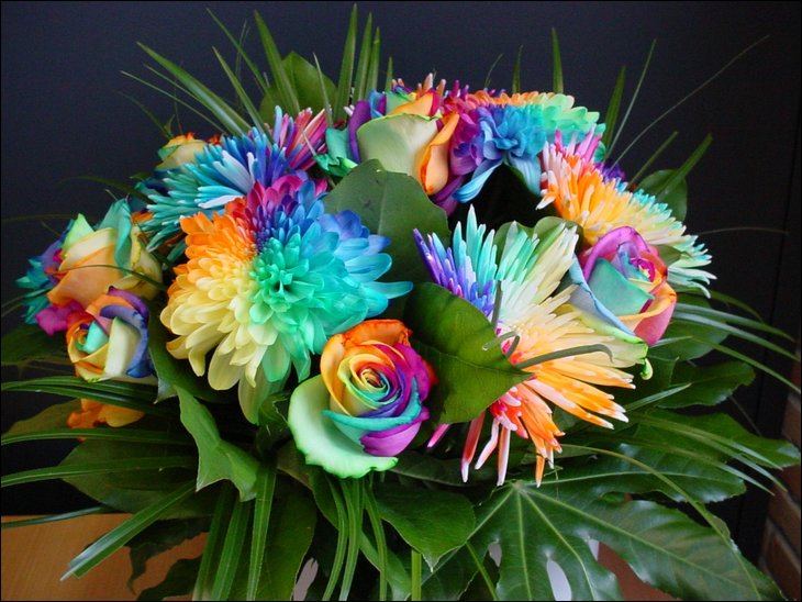 Rainbow Roses