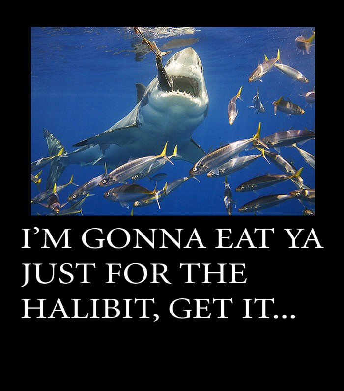 Shark humor