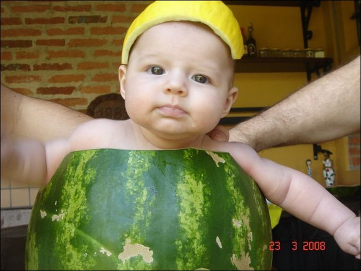 Funny Watermelon Images