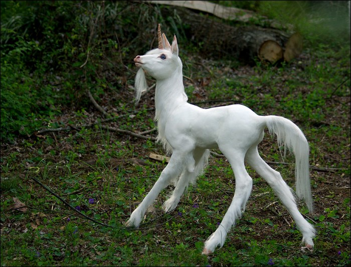 Creepy and bizarre unicorn sculptures