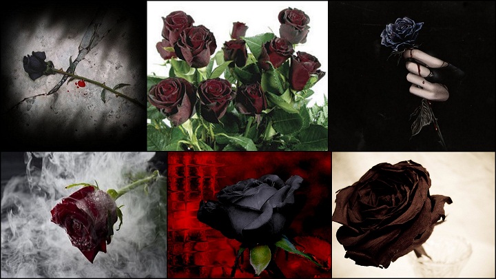 how to make black roses