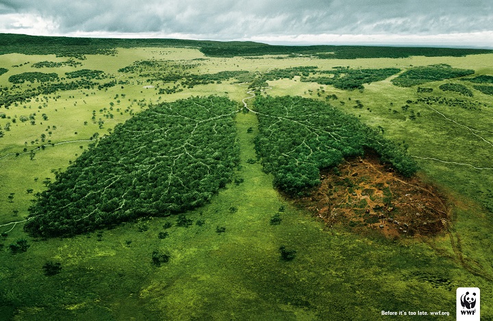 komprimeret strømper halskæde WWF: World Wide Fund for Nature