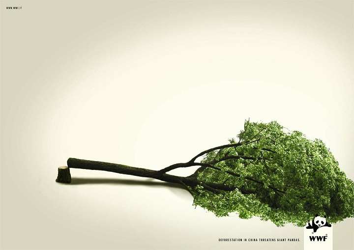 wwf04 WWF: World Wide Fund for Nature