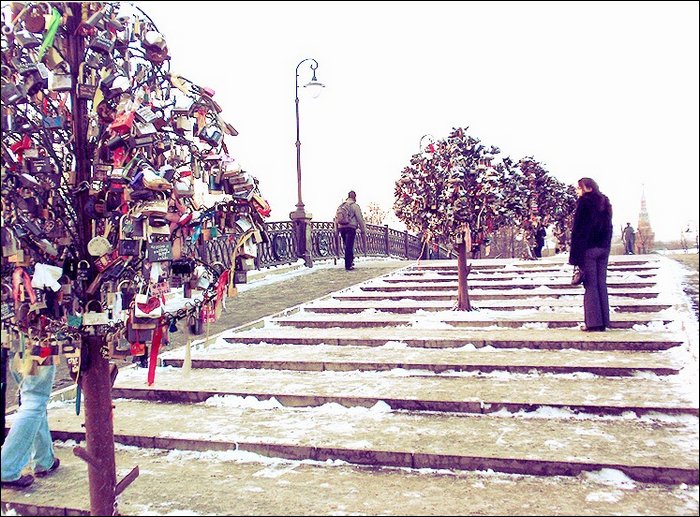 Locks of love