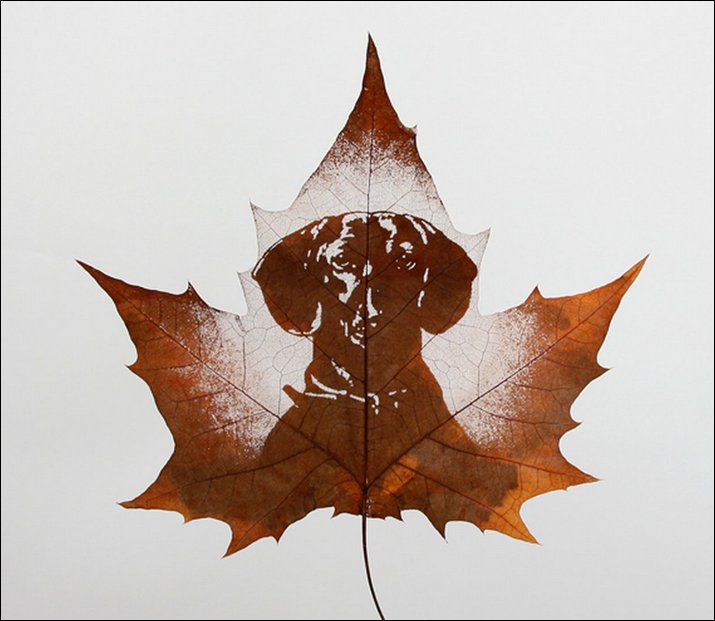 Leaf Carving