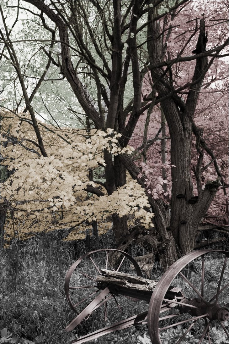 Selective Coloring
