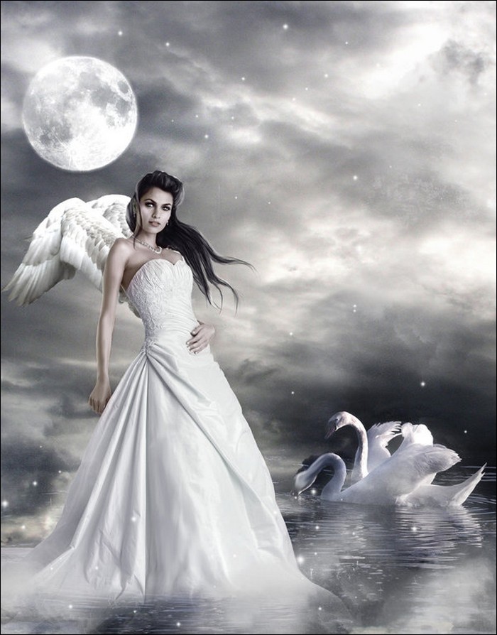 Swan princess