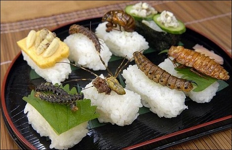 Insect Cuisine of Shoichi Uchiyama