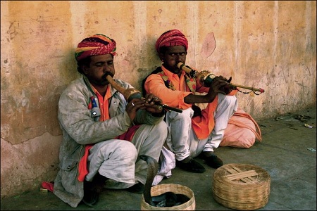 Snake Charming – Amazing Performance Spiced With Venom