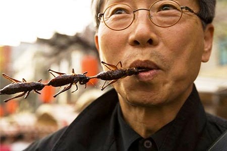 12 Delicious Edible Insects: Anyone hungry?