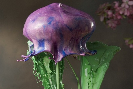 Amazing Liquid Flowers