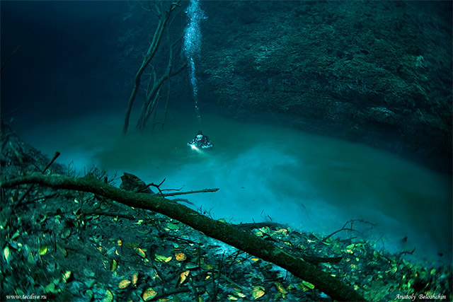Cenote Angelita: An Underwater River Photographed by Anatoly Beloshchin